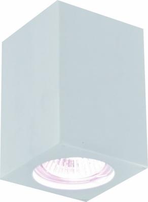 Светильник накладной потолочный Arte Lamp арт. A9264PL-1WH