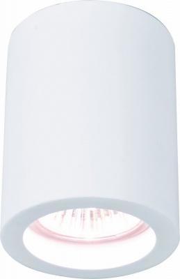 Светильник накладной потолочный Arte Lamp арт. A9260PL-1WH